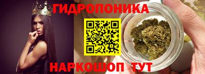 МДПВ Пушкино