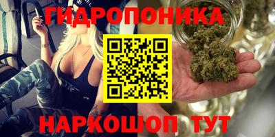 МДПВ Пушкино