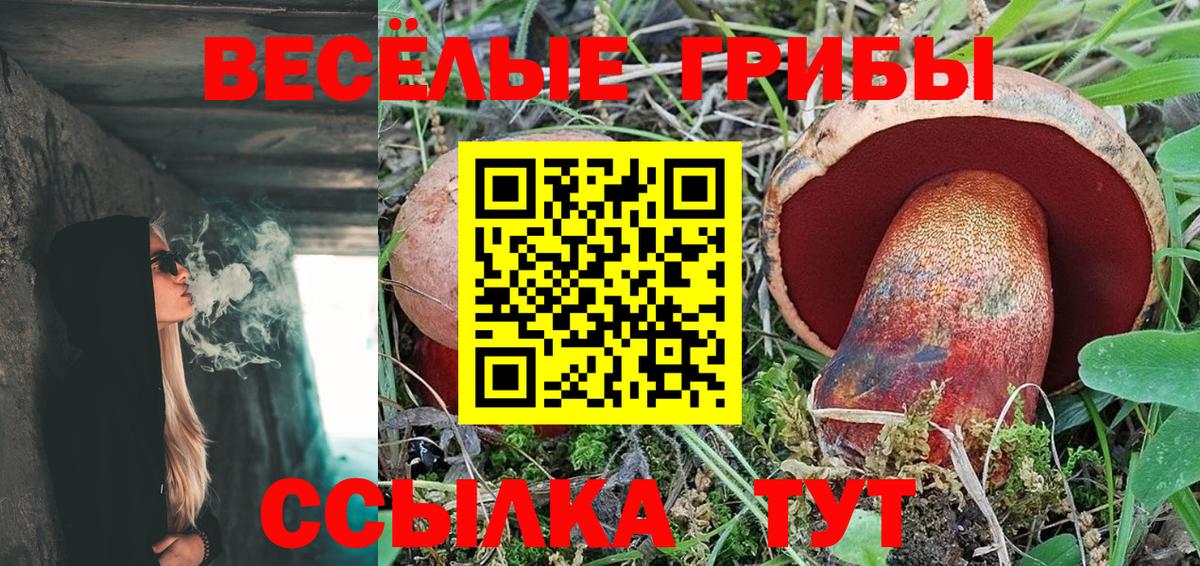 Псилоцибиновые грибы Magic Shrooms Чехов