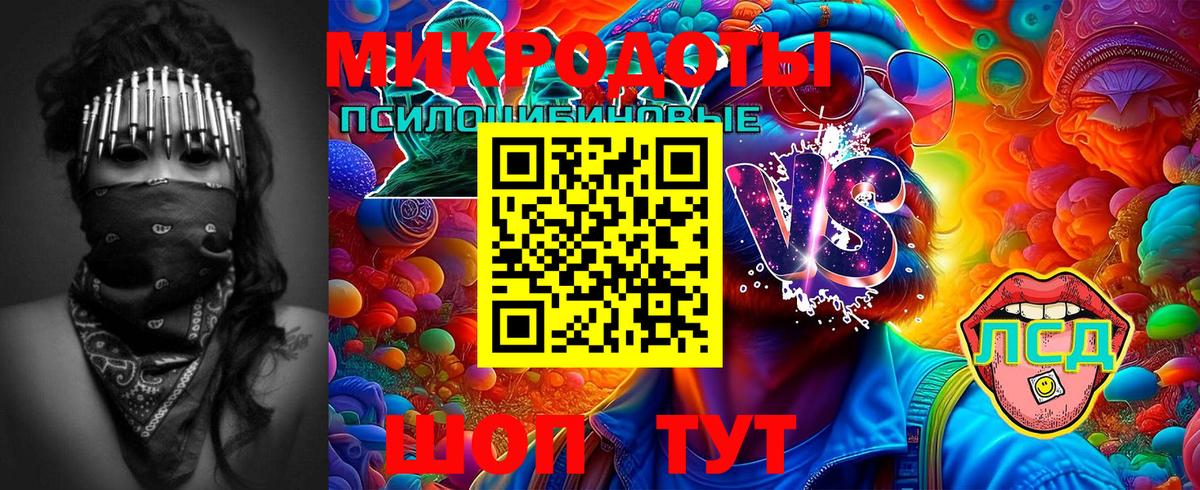 как найти наркотики  Галлюциногенные грибы прущие грибы  Вход с VPN  Чехов 